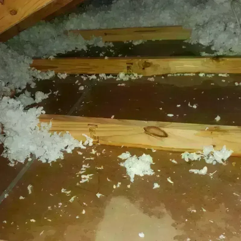 Attic Water Damage in Culver, OR