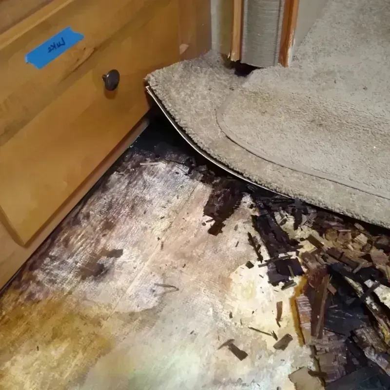 Wood Floor Water Damage in Culver, OR